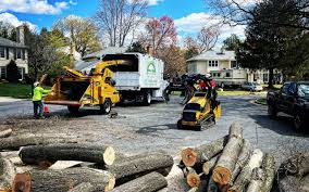 Best Lawn Maintenance Plans  in Loretto, PA