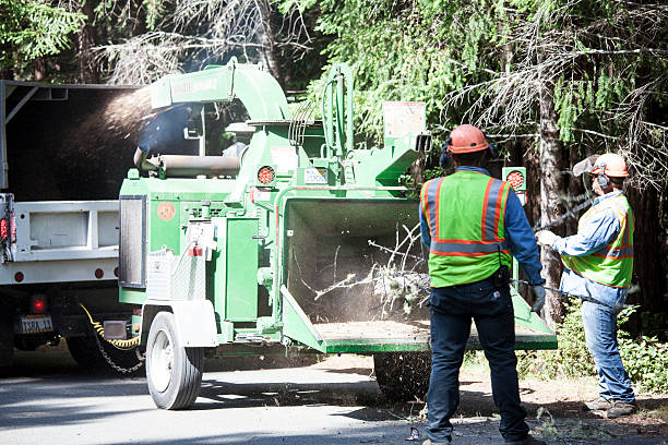 Best Aeration Services  in Loretto, PA